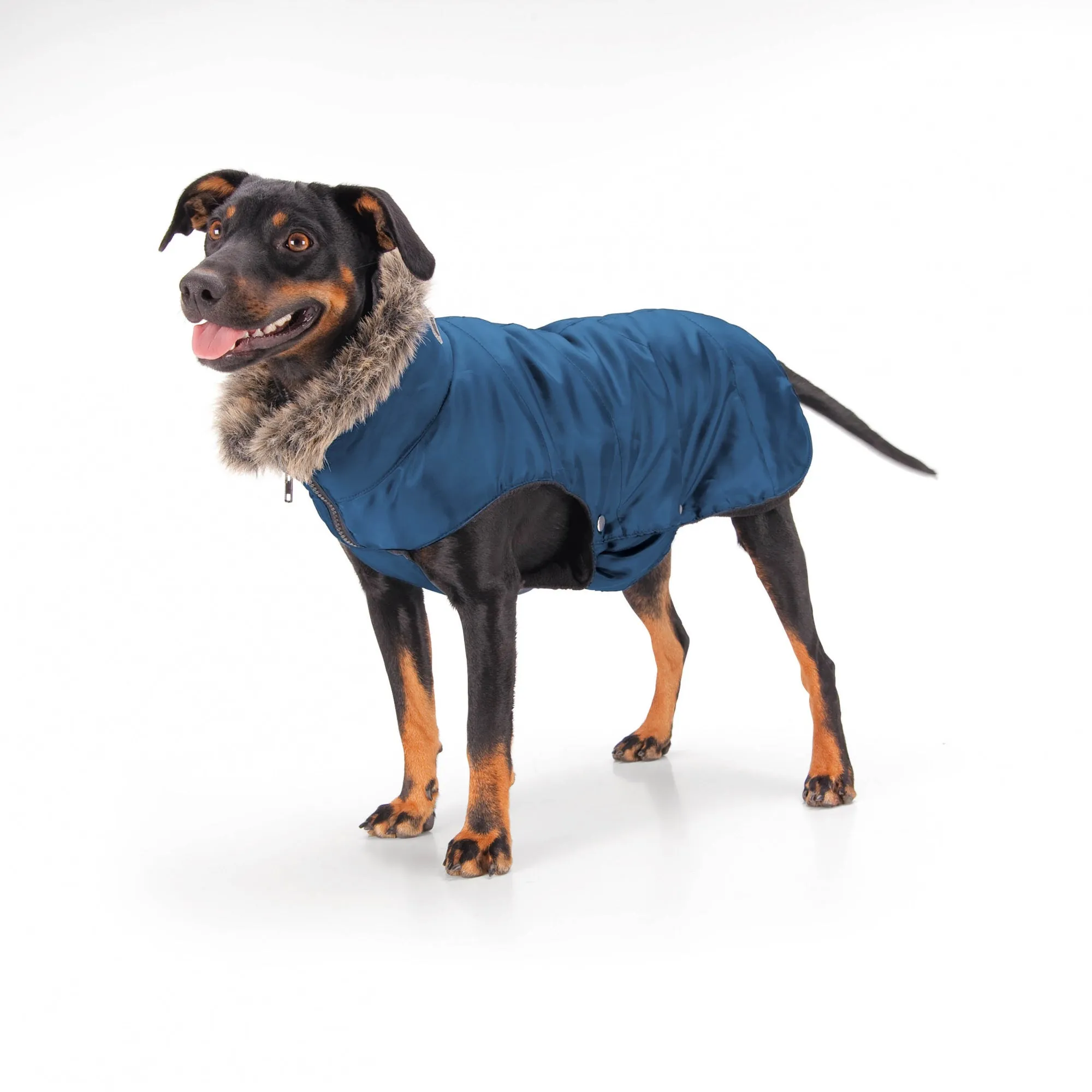 Eskadron Glossy Dog Coat